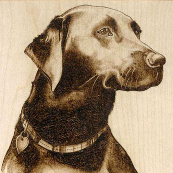 pyrography commission of a dog called Bonnie