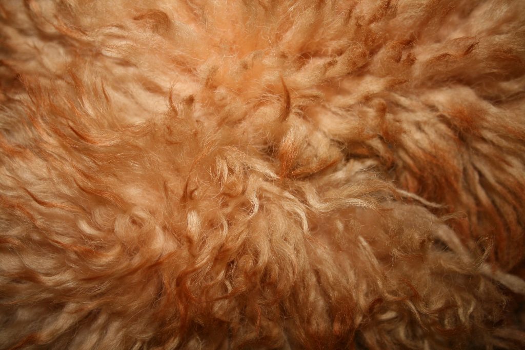 Fur Textures – Faux Fur Fabrics