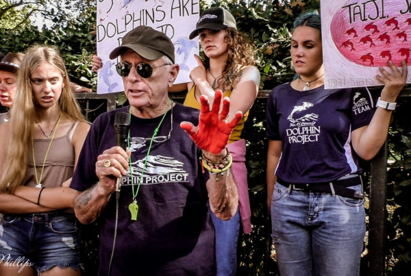 Ric O'Barry photo by Jo Phillips