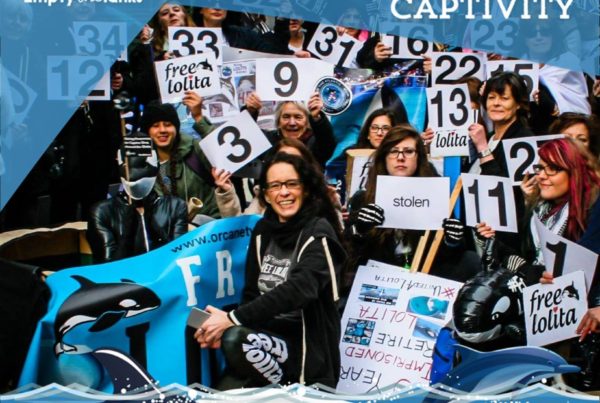 me at Arle Capital 2016