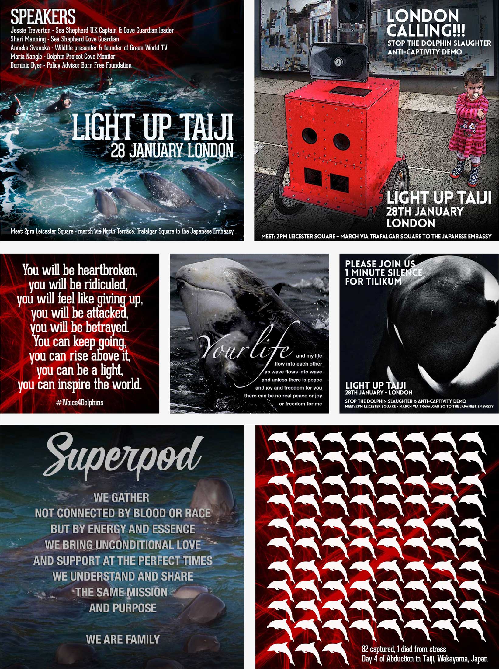 light up taiji 2017 memes