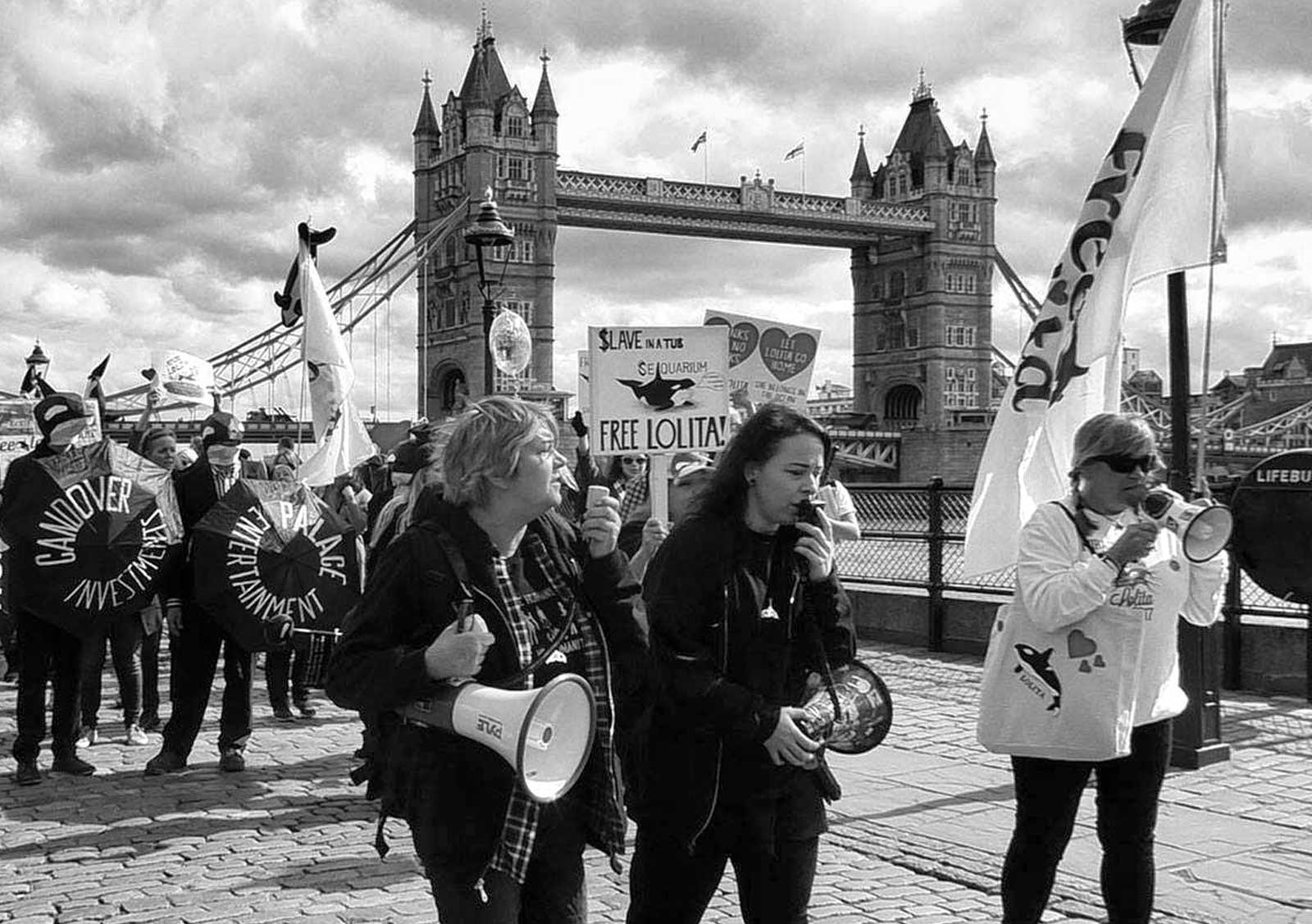 marching for lolita 2017