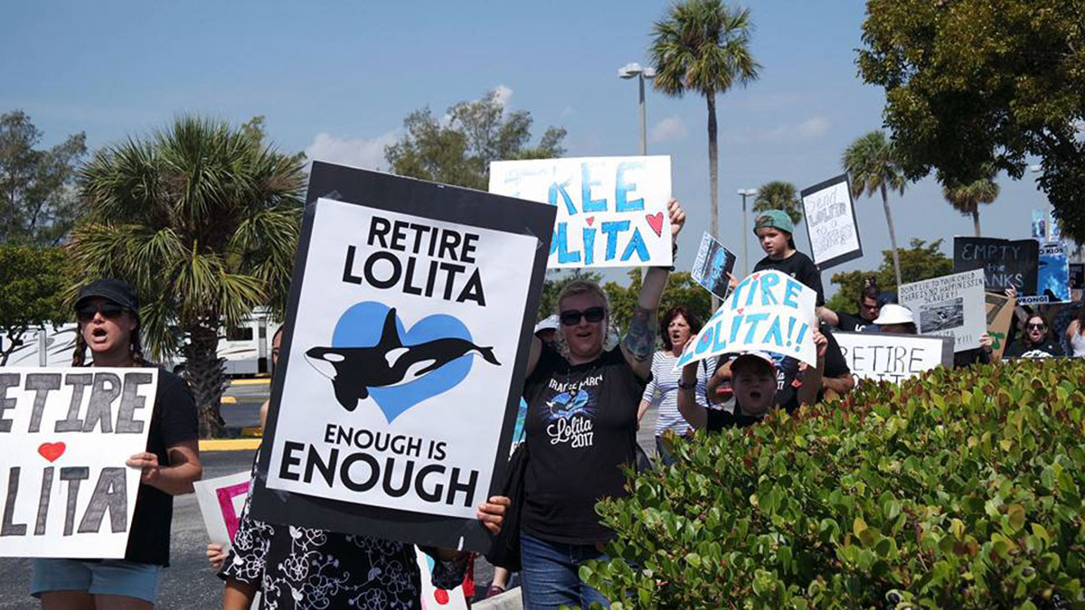 Miracle march for Lolita Miami 2017
