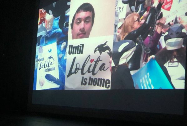 Screening at Superpod