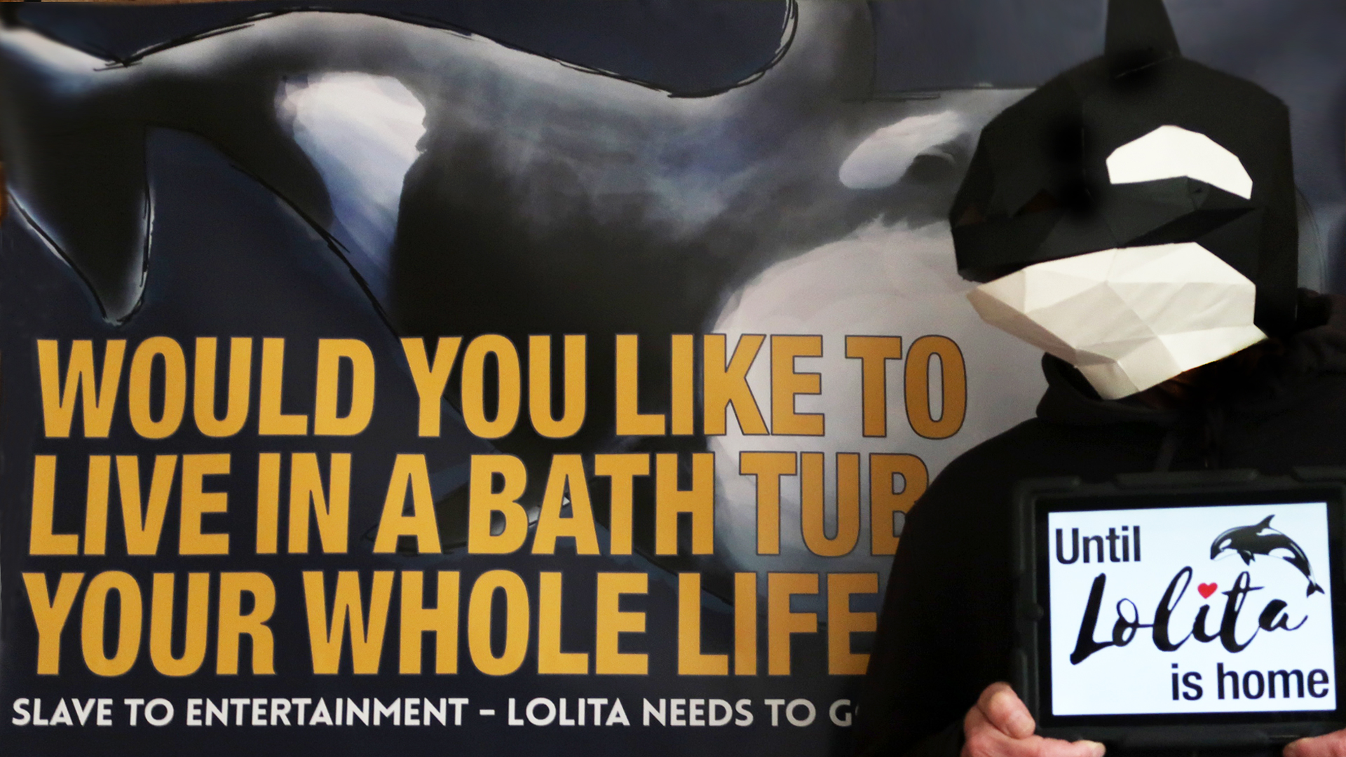 Would you like to live in a bath tub?