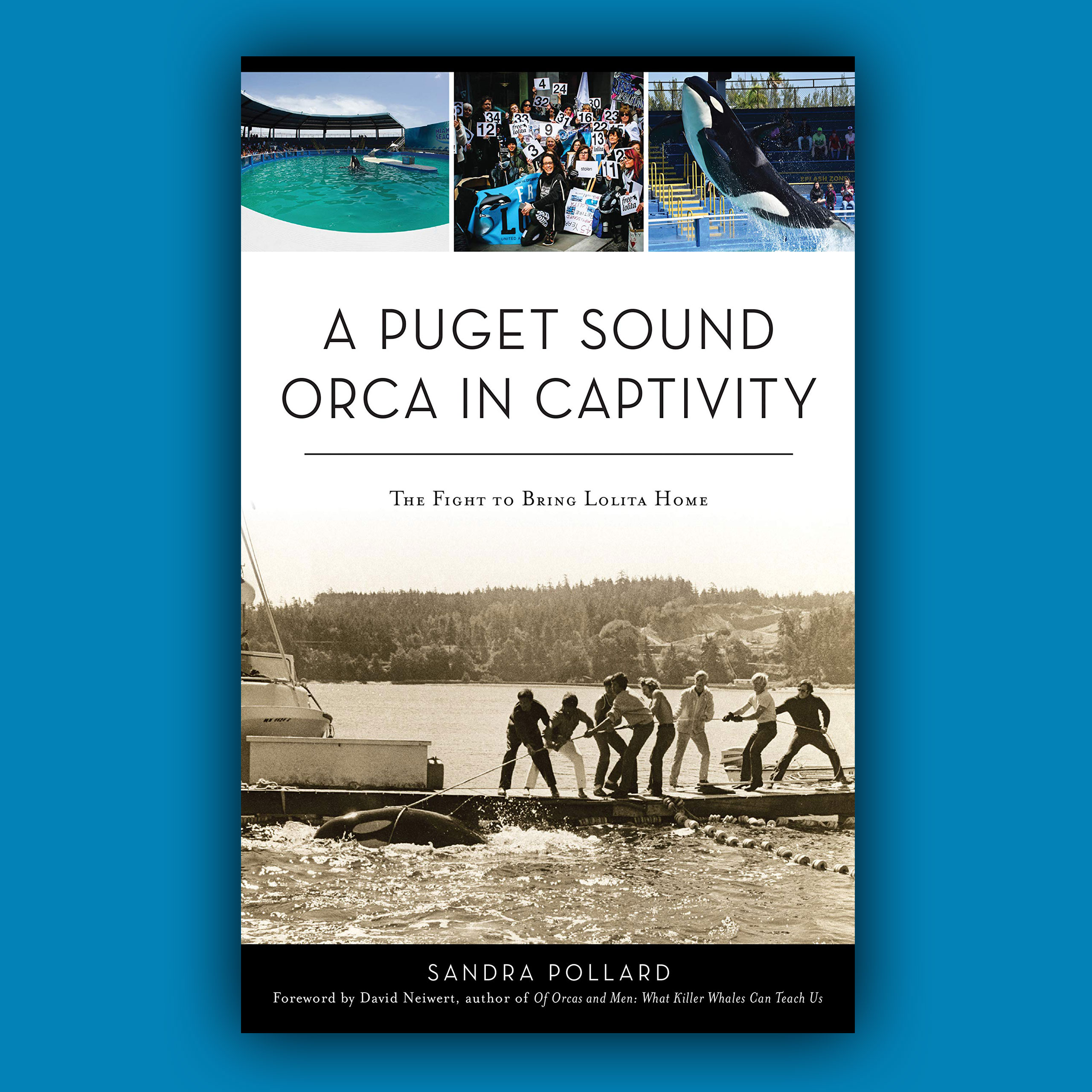 A Puget Sound Orca in Captivity