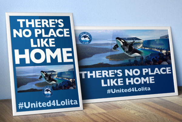 There's No Place Like Home Posters for Lolita by Jo