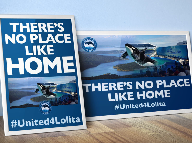 There's No Place Like Home Posters for Lolita by Jo