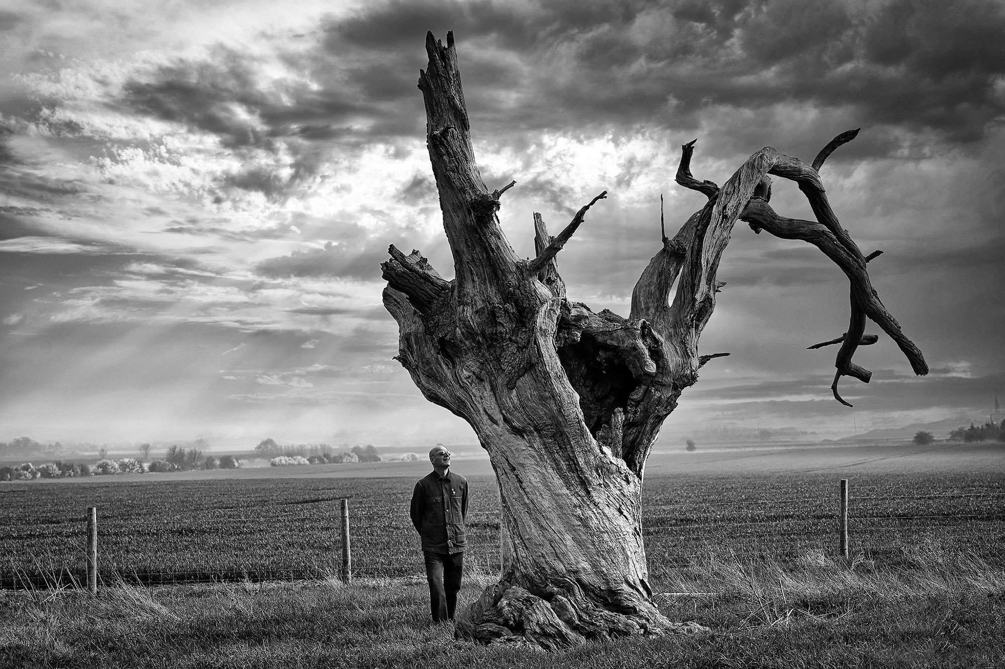 mundon oaks by Jo Phillips