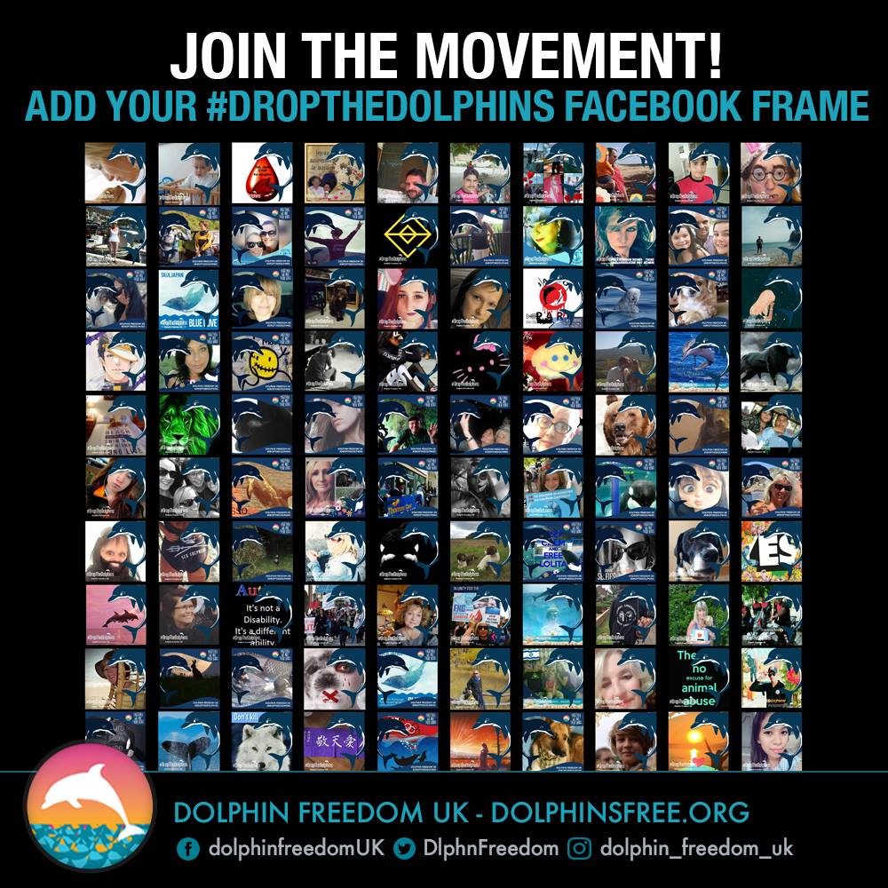 Dolphin Freedom UK campaign
