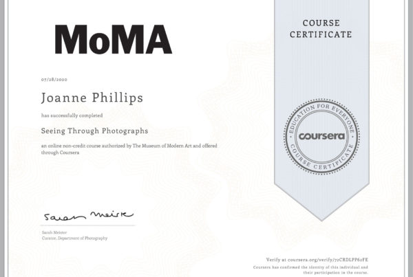 moma certificate