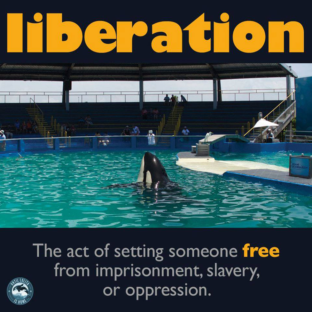 Liberation for Lolita meme