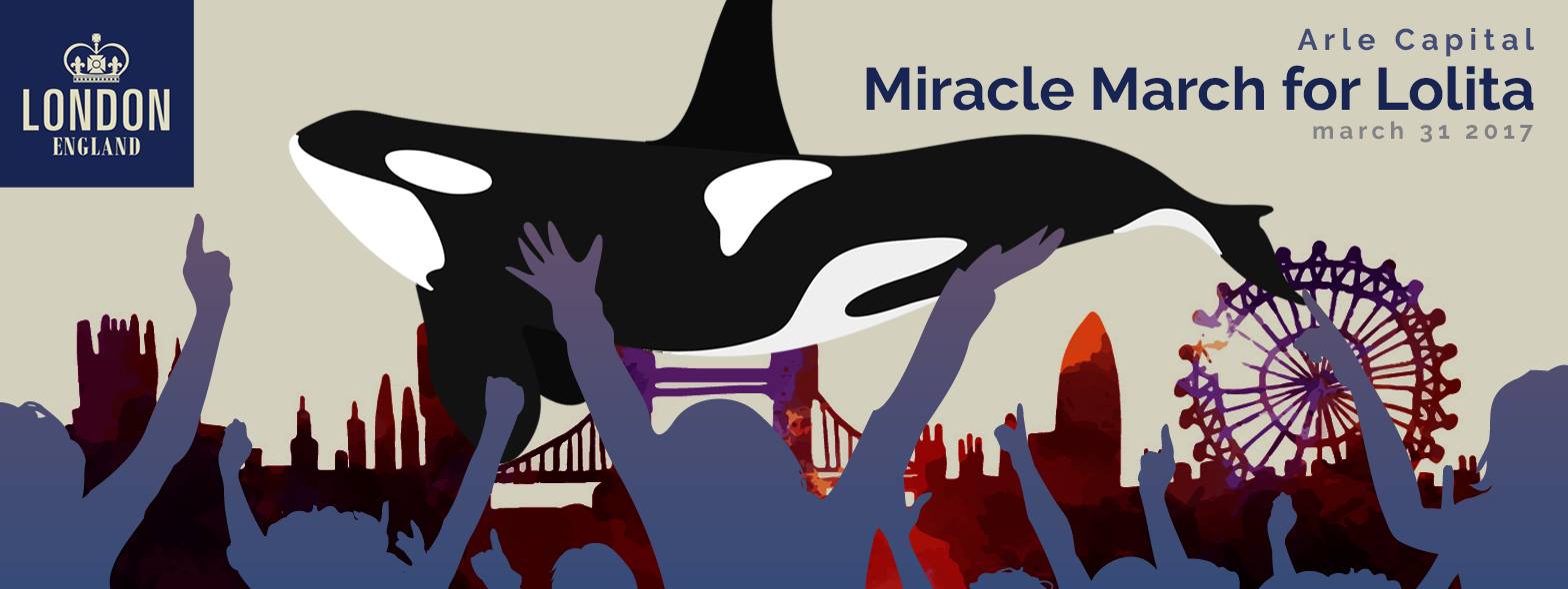 Miracle March for Lolita graphic
