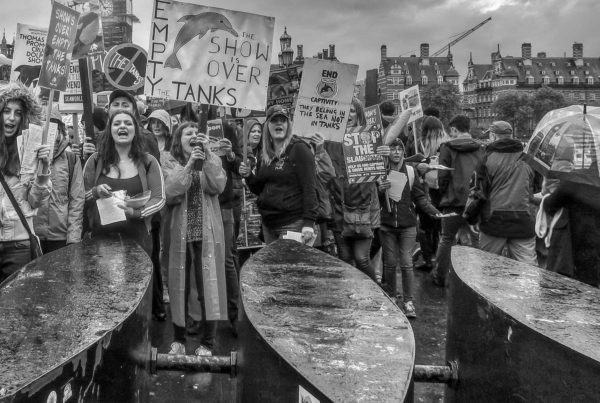 Photography by Jo Empty The Tanks