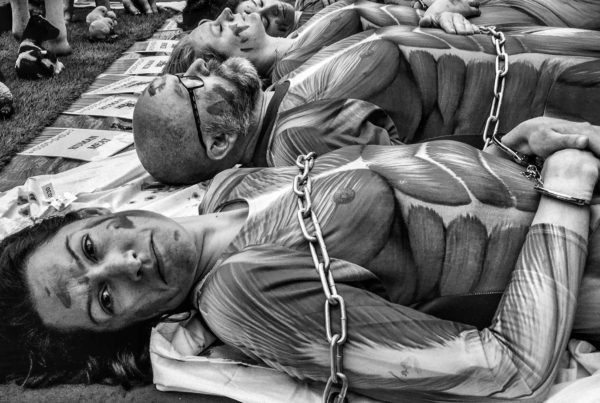 Photography by Jo - Heidi Mary Porter