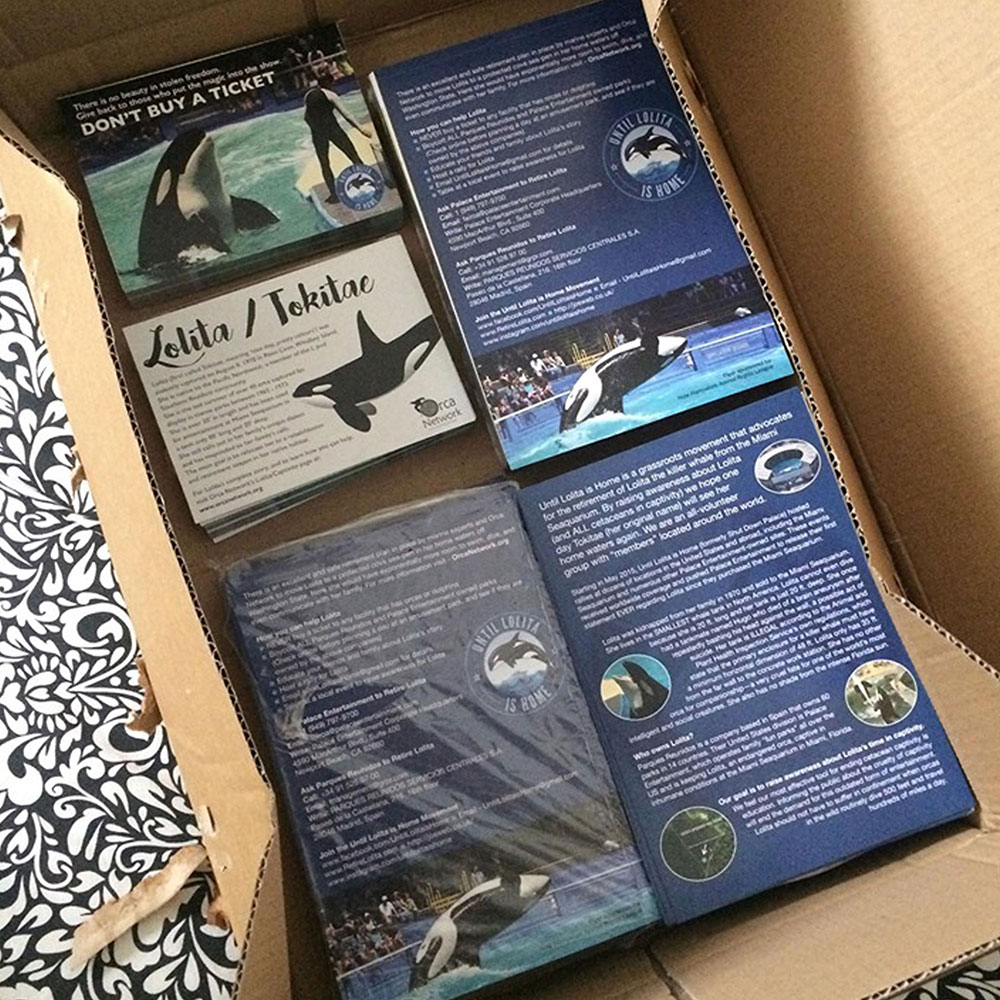 leaflets for Lolita designed by Spiral Pixel