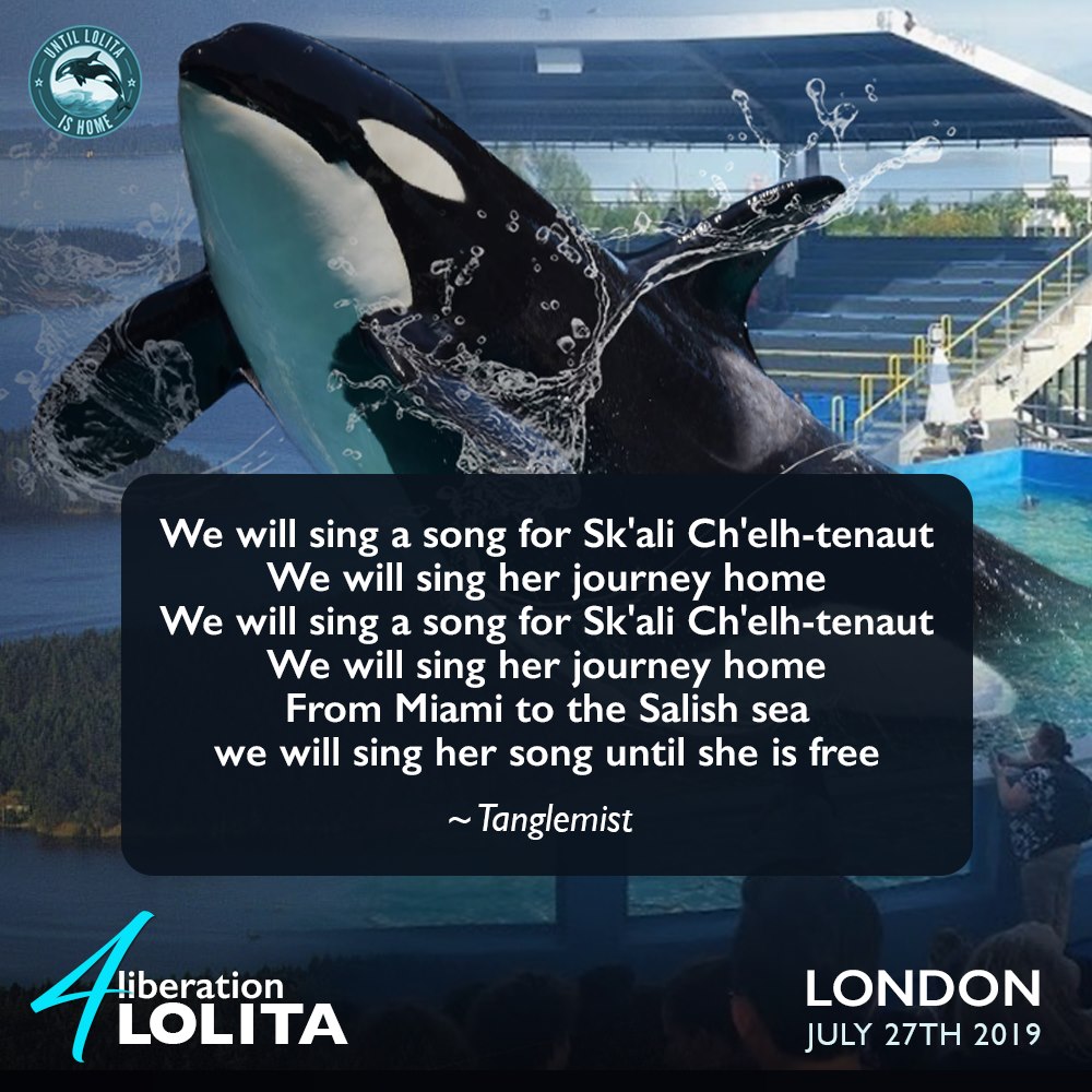 meme for Lolita