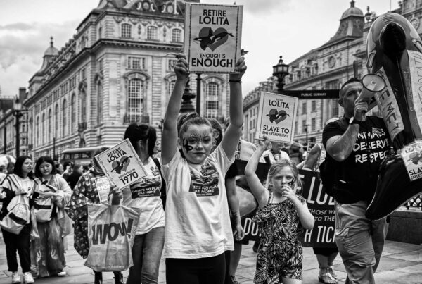 Photography by Jo - Retire Lolita