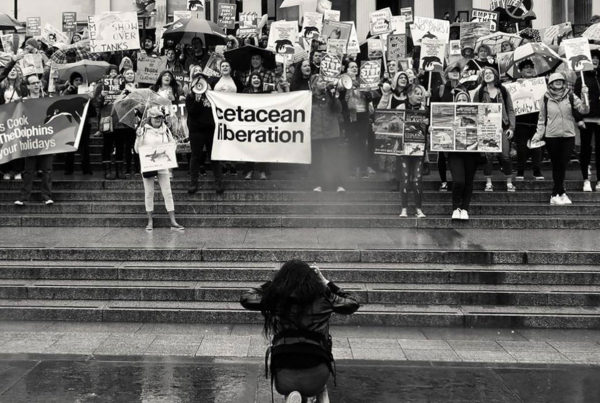 Jo photographing Empty The Tanks London 2018