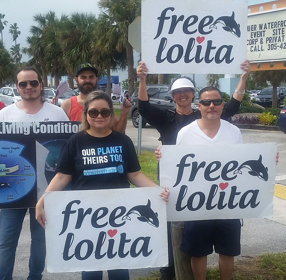 Free Lolita Campaign