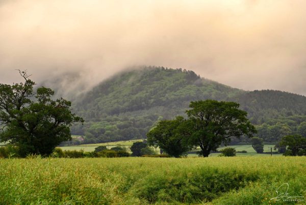 The Wrekin by Jo Phillips