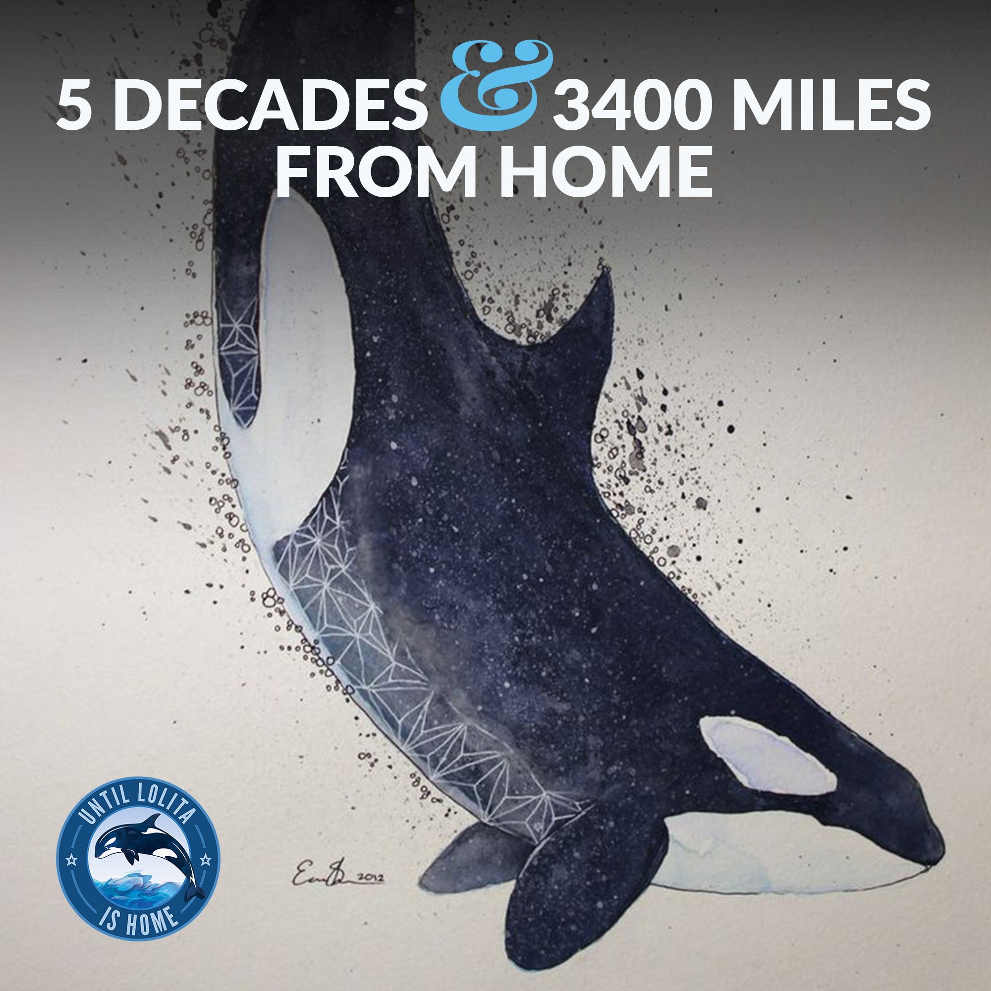 orca drawng