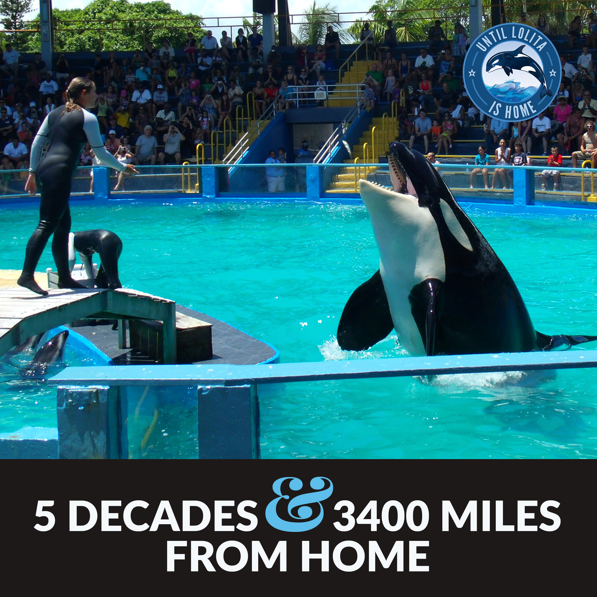 miami seaquarium