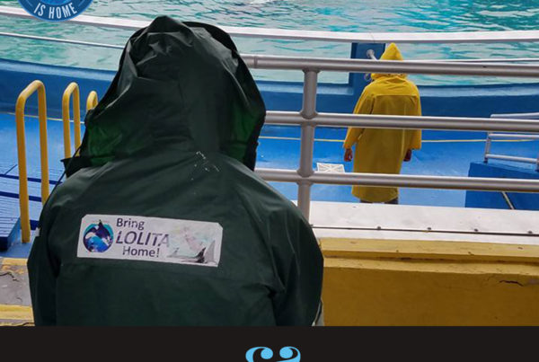 howard garrett at msq