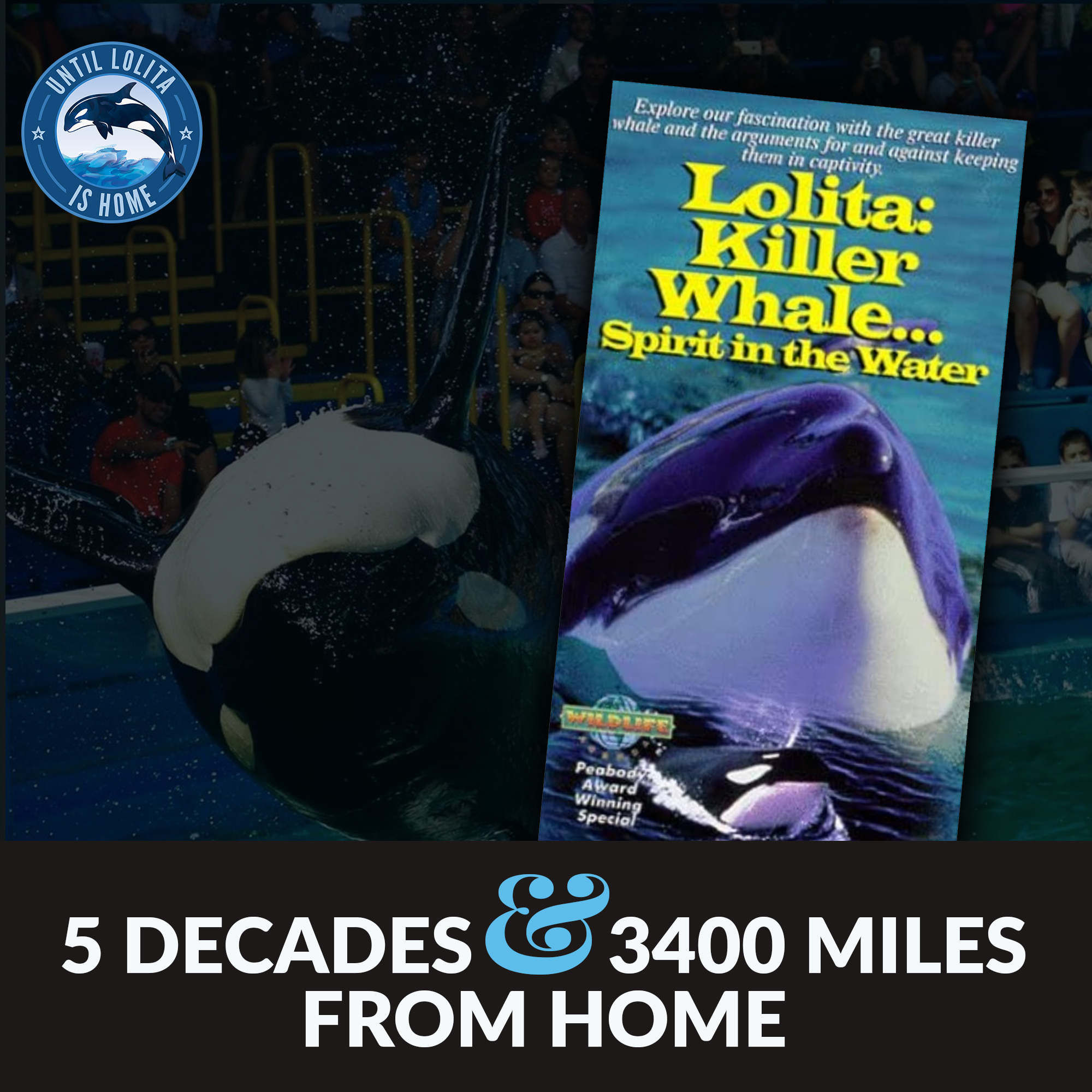 lolita orca