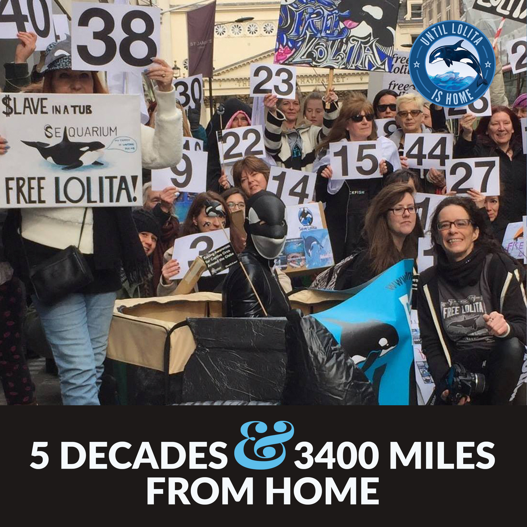 2016 protest at Arle capital for lolita