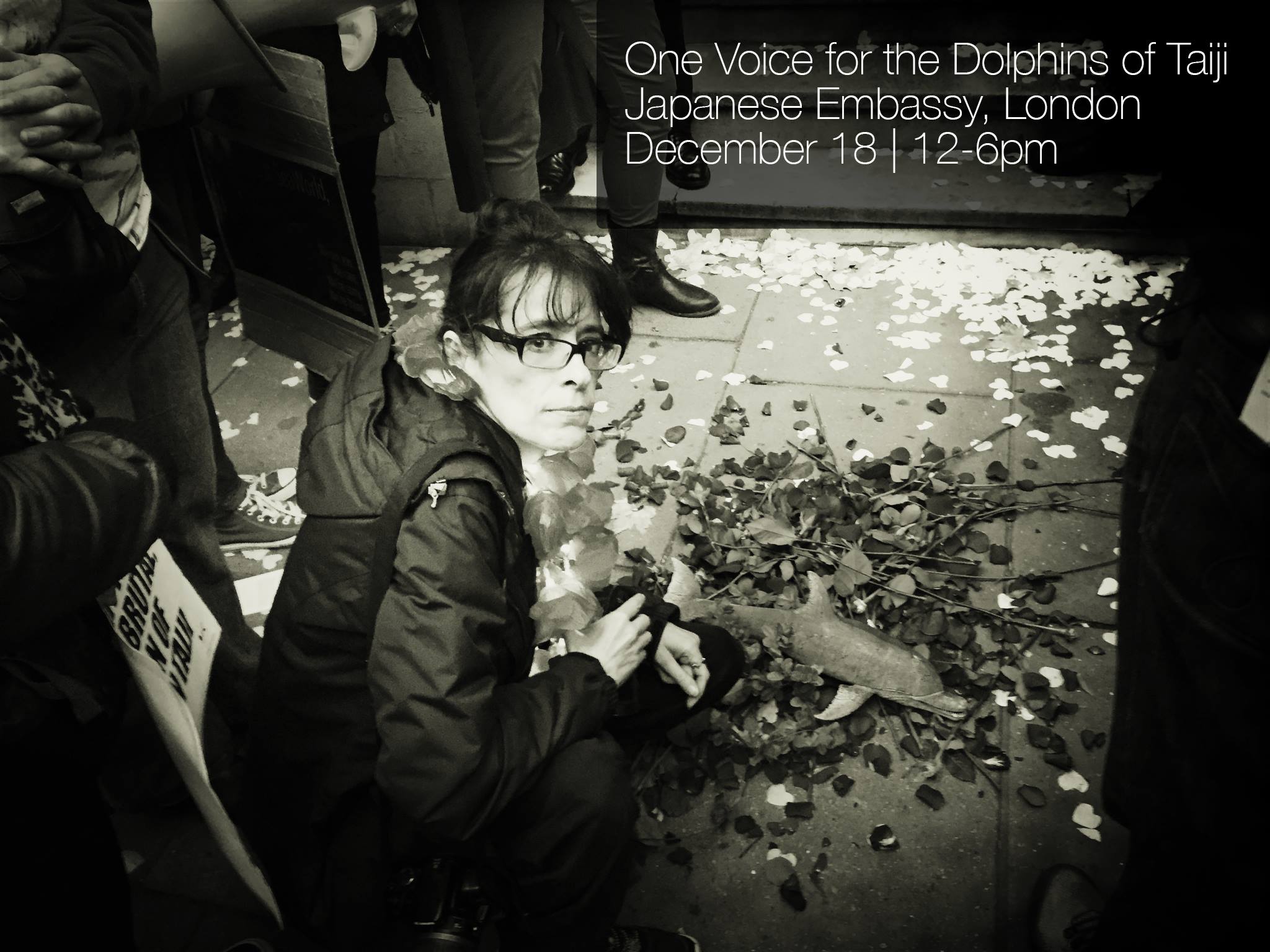 One voice for dolphins ad