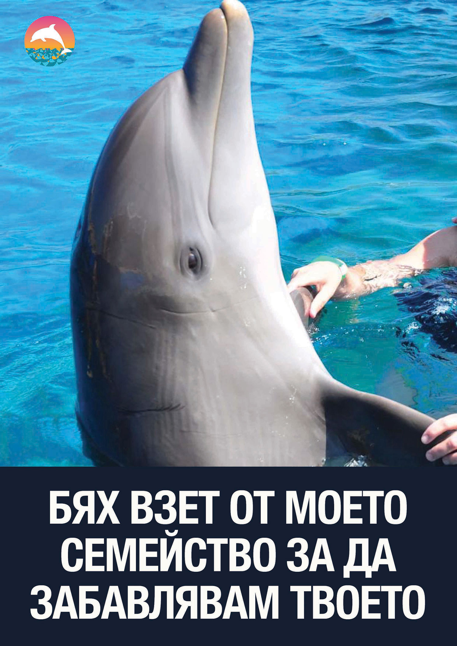 Protest at Festa dolphinarium poster 2