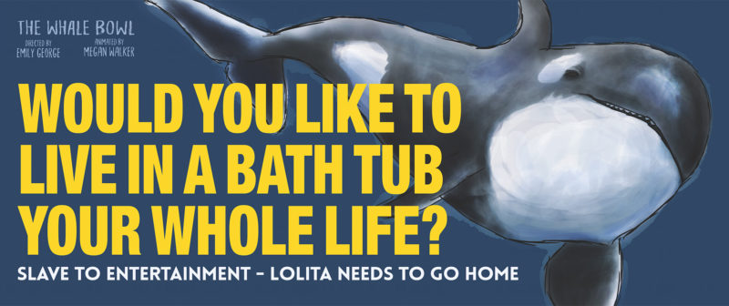 Would you like to live in a bath tub banner