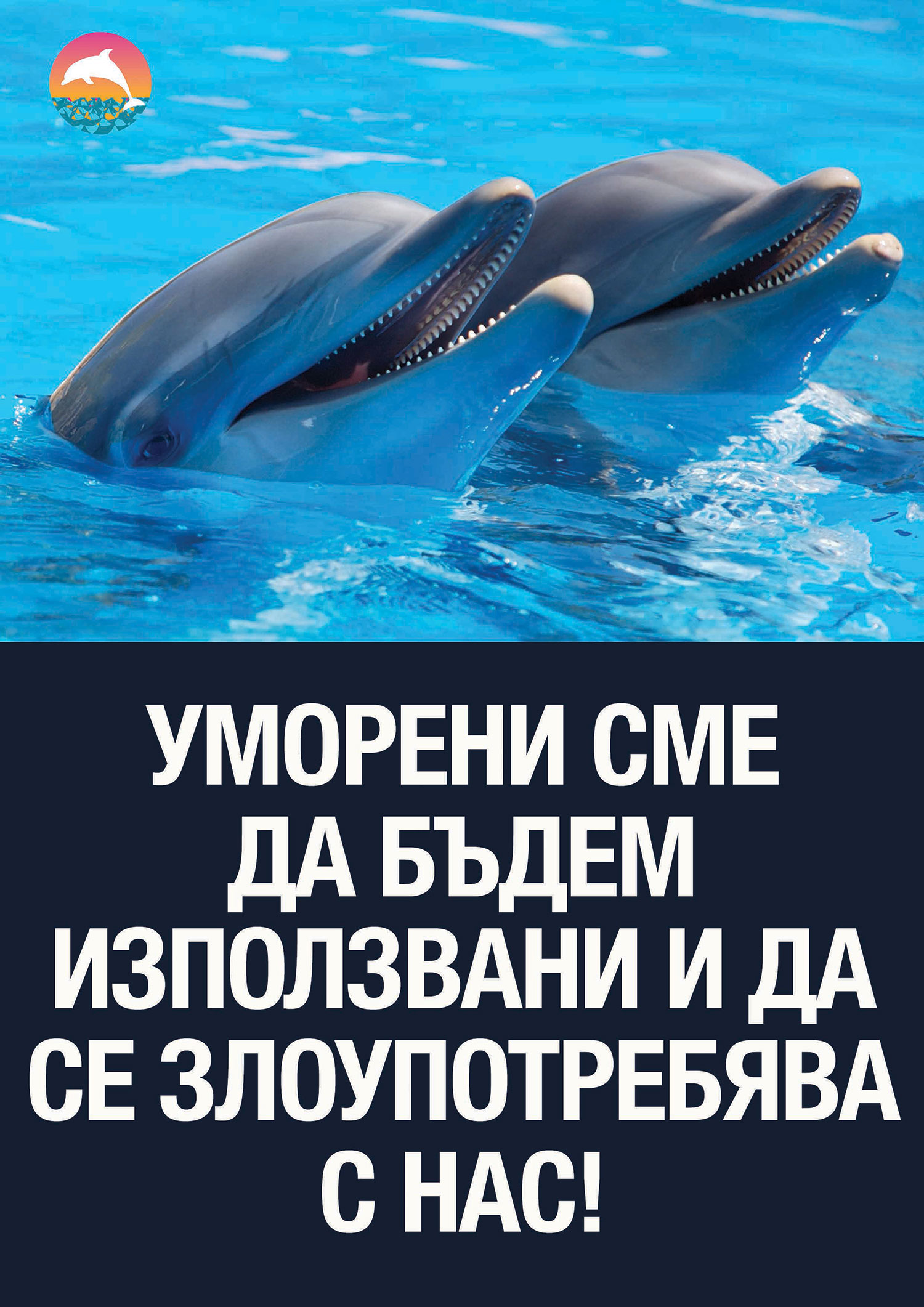 Protest at Festa dolphinarium poster