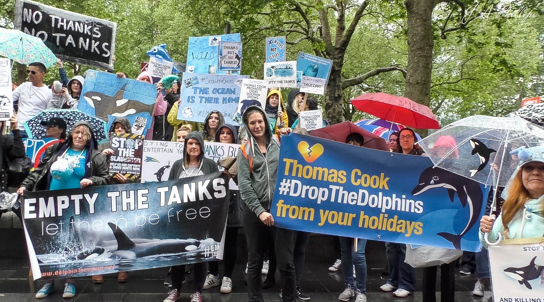 Thomas Cook ends ticket sales to attractions with captive dolphins