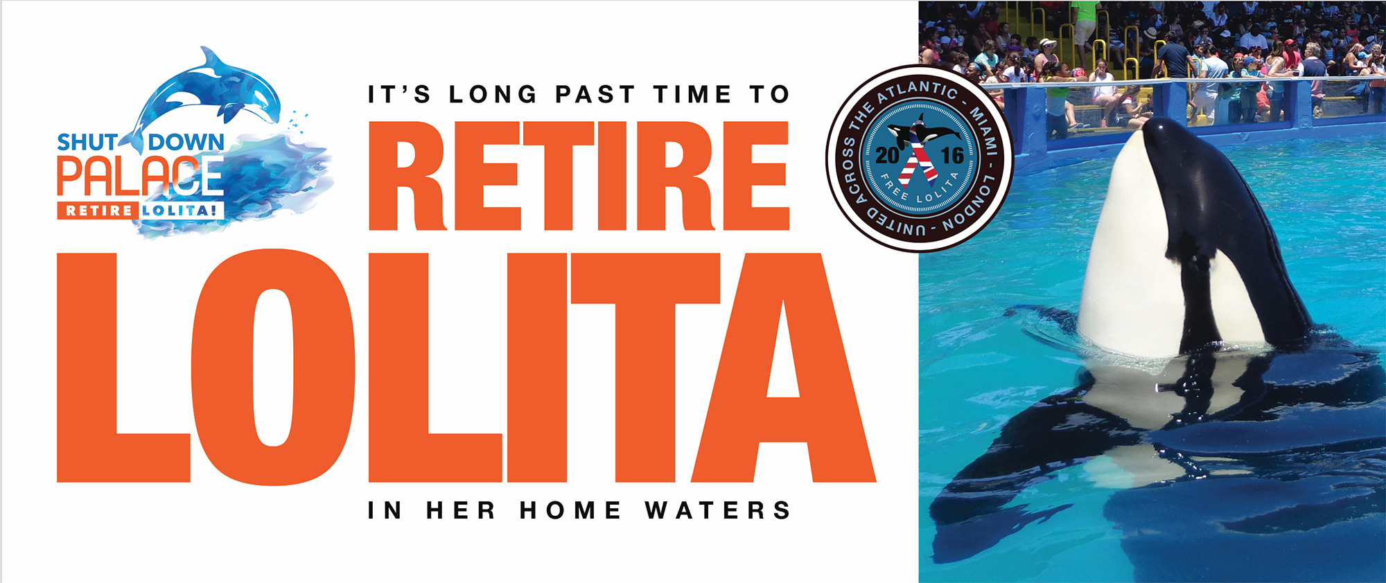 Retire Lolita Banner