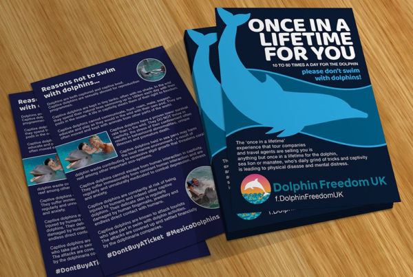 Don'tSwim With Dolphins leaflet