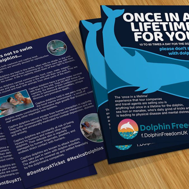 Don'tSwim With Dolphins leaflet