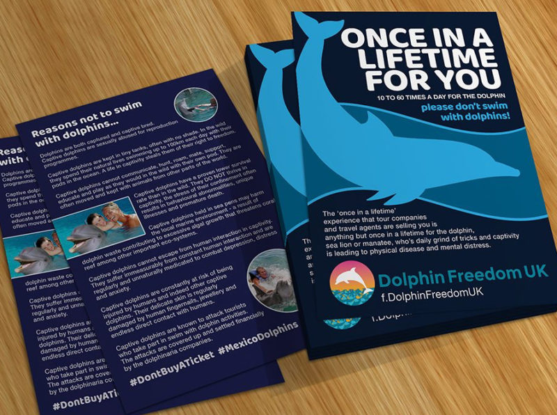 Don'tSwim With Dolphins leaflet