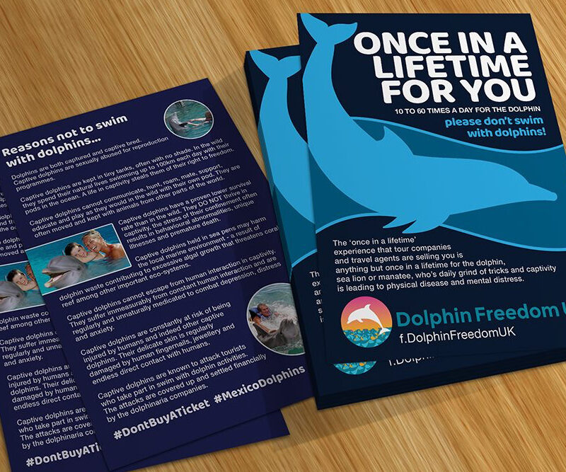 Don'tSwim With Dolphins leaflet