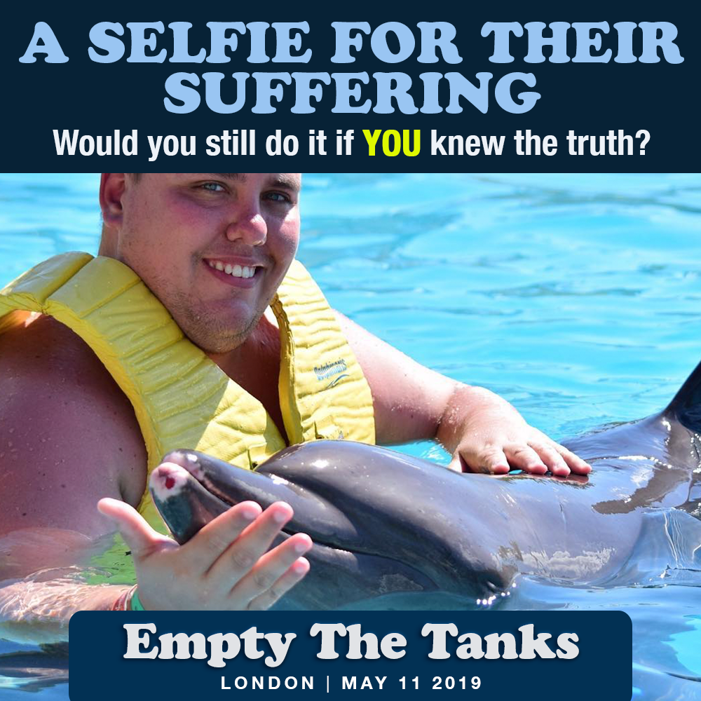 Empty The Tanks London social media meme
