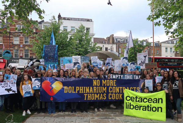 ETT London 2019 by Jo