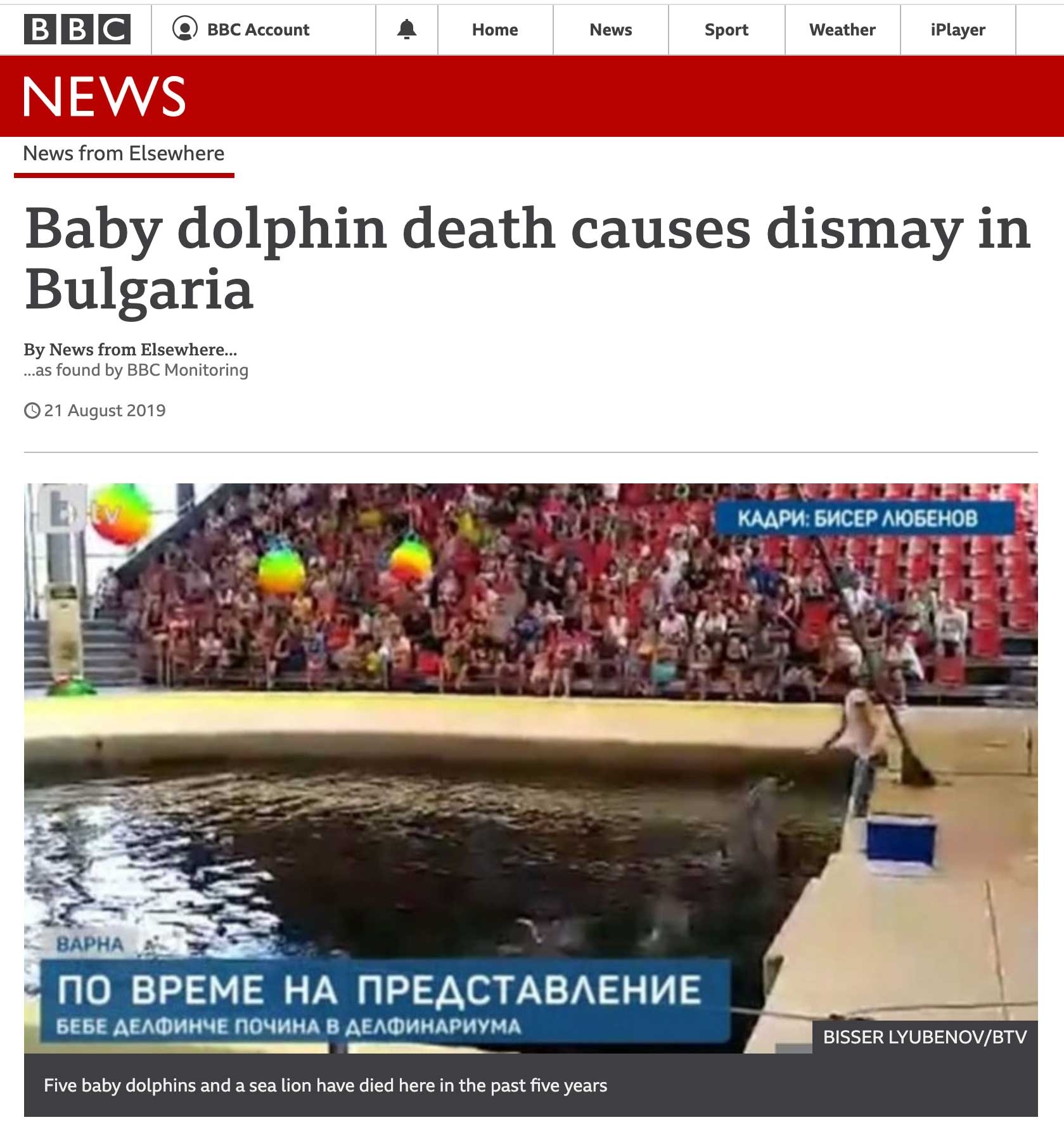 Protest at Festa dolphinarium BBC article