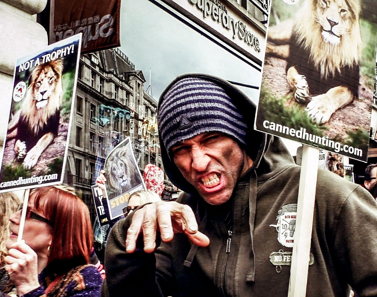 Roar for the lons!