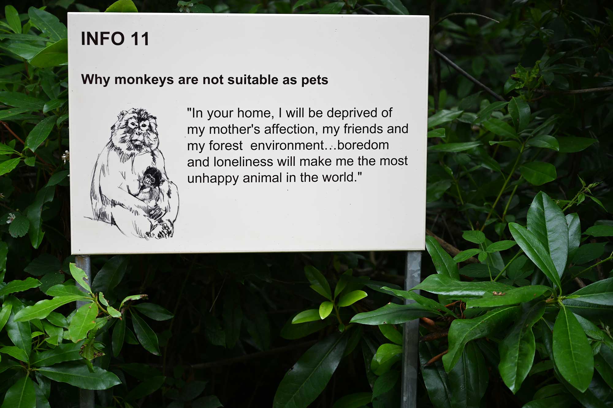 Trentham monkey forest info sign