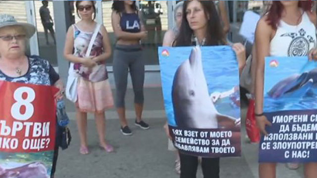 Protest at Festa dolphinarium