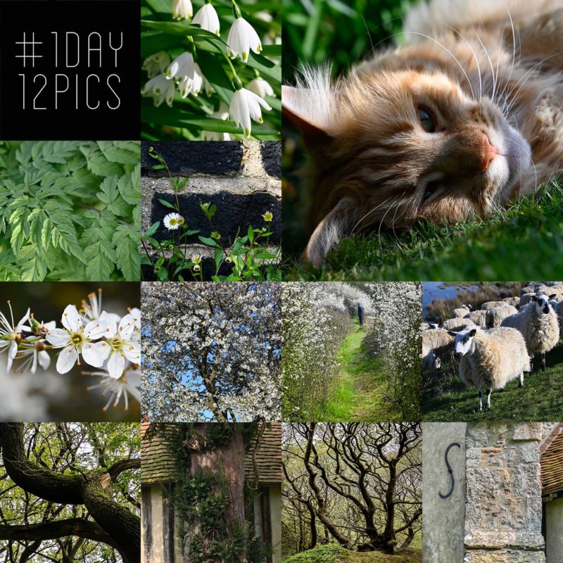 #1Day12Pics - April