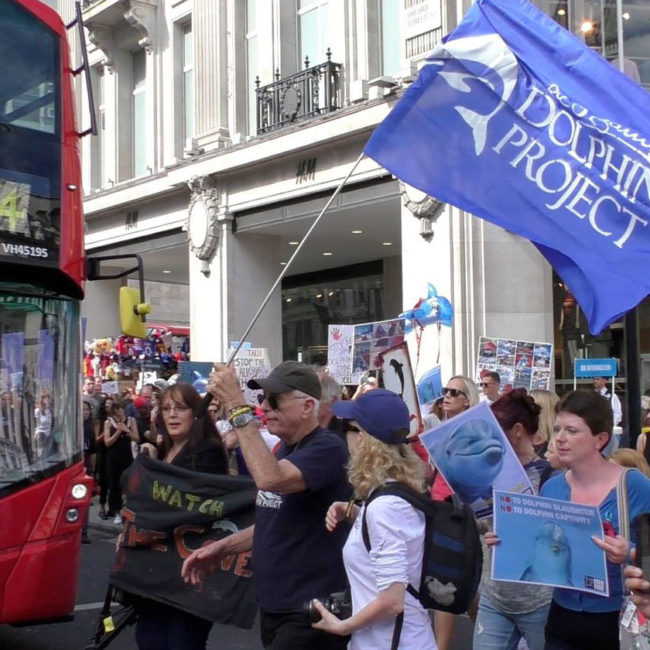 Dolphin Project Flag made by Chris - Photo by Jo Phillips