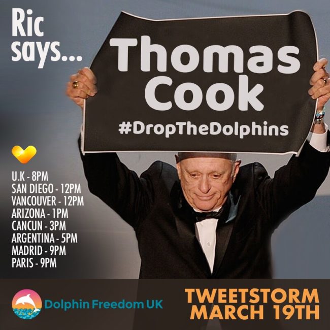 #DropTheDolphins Campaign