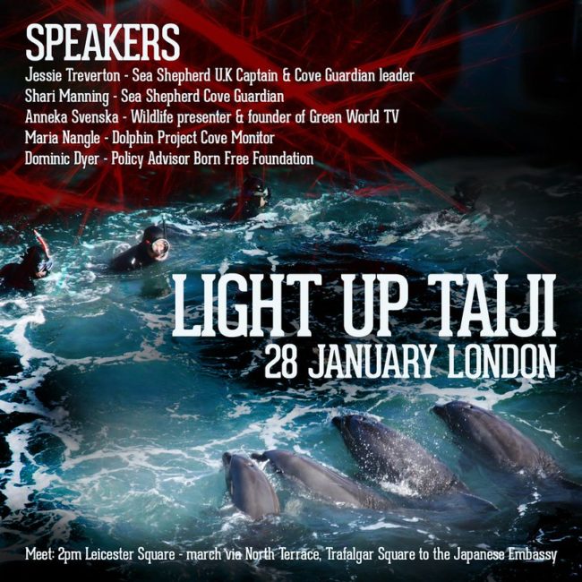 Light up Taiji London